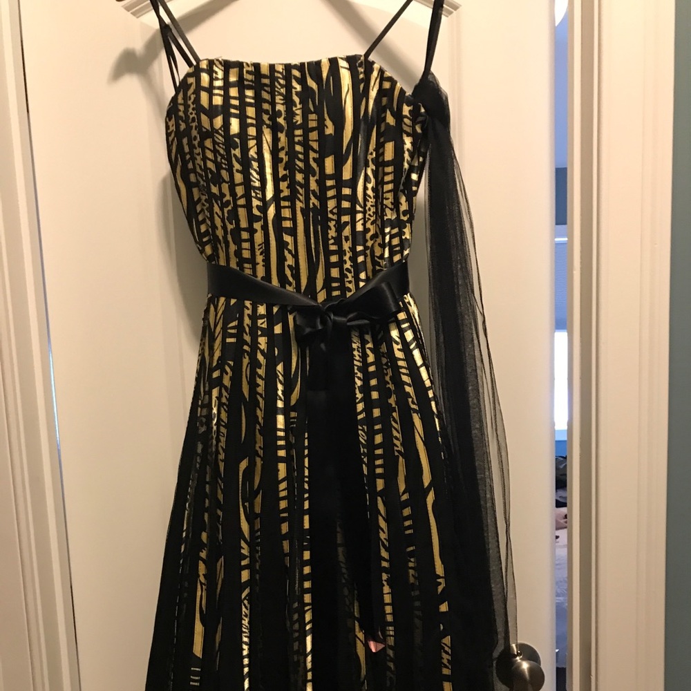 Animal print dress, comes with a chiffon shawl